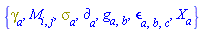 {Physics:-Dgamma[a], M[i, j], Physics:-Psigma[a], Physics:-d_[a], Physics:-g_[a, b], Physics:-LeviCivita[a, b, c], Physics:-SpaceTimeVector[a](X)}