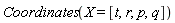Coordinates(X = [t, r, p, q])