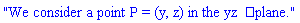 "We consider a point P = (y, z) in the yzâ€‘plane."