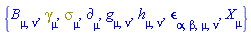 {B[mu, nu], Physics:-Dgamma[mu], Physics:-Psigma[mu], Physics:-d_[mu], Physics:-g_[mu, nu], h[mu, nu], Physics:-LeviCivita[alpha, beta, mu, nu], Physics:-SpaceTimeVector[mu](X)}